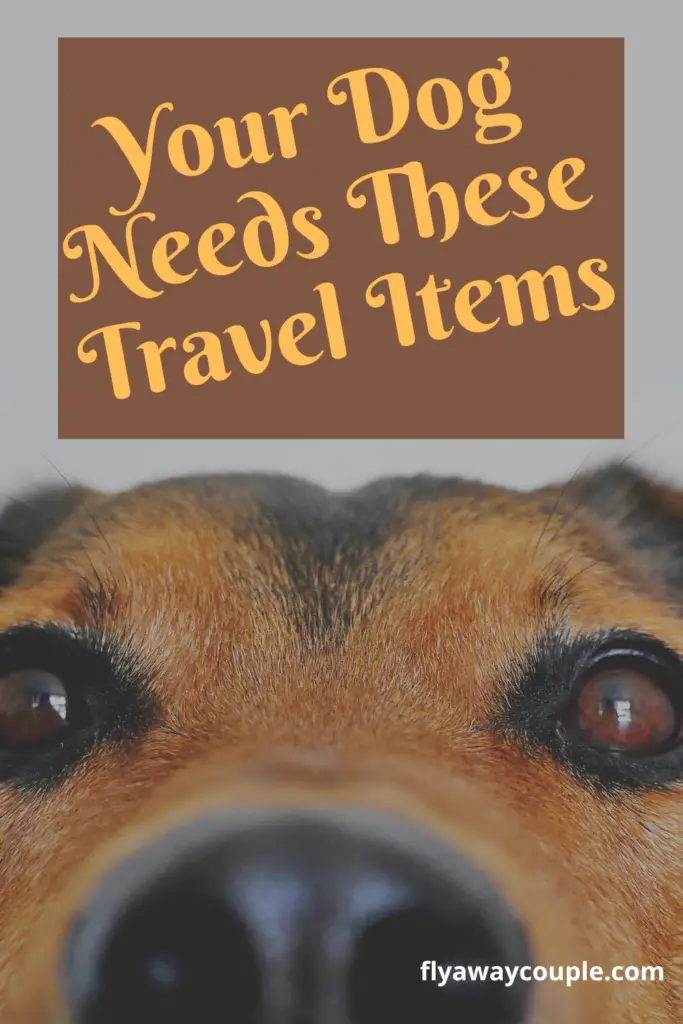 Dog Travel Essentials Pinterest Pin