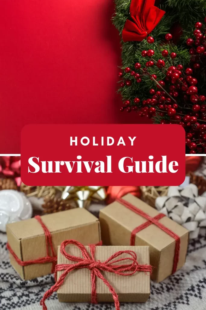 Holiday Travel Survival Guide Pinterest Pin 