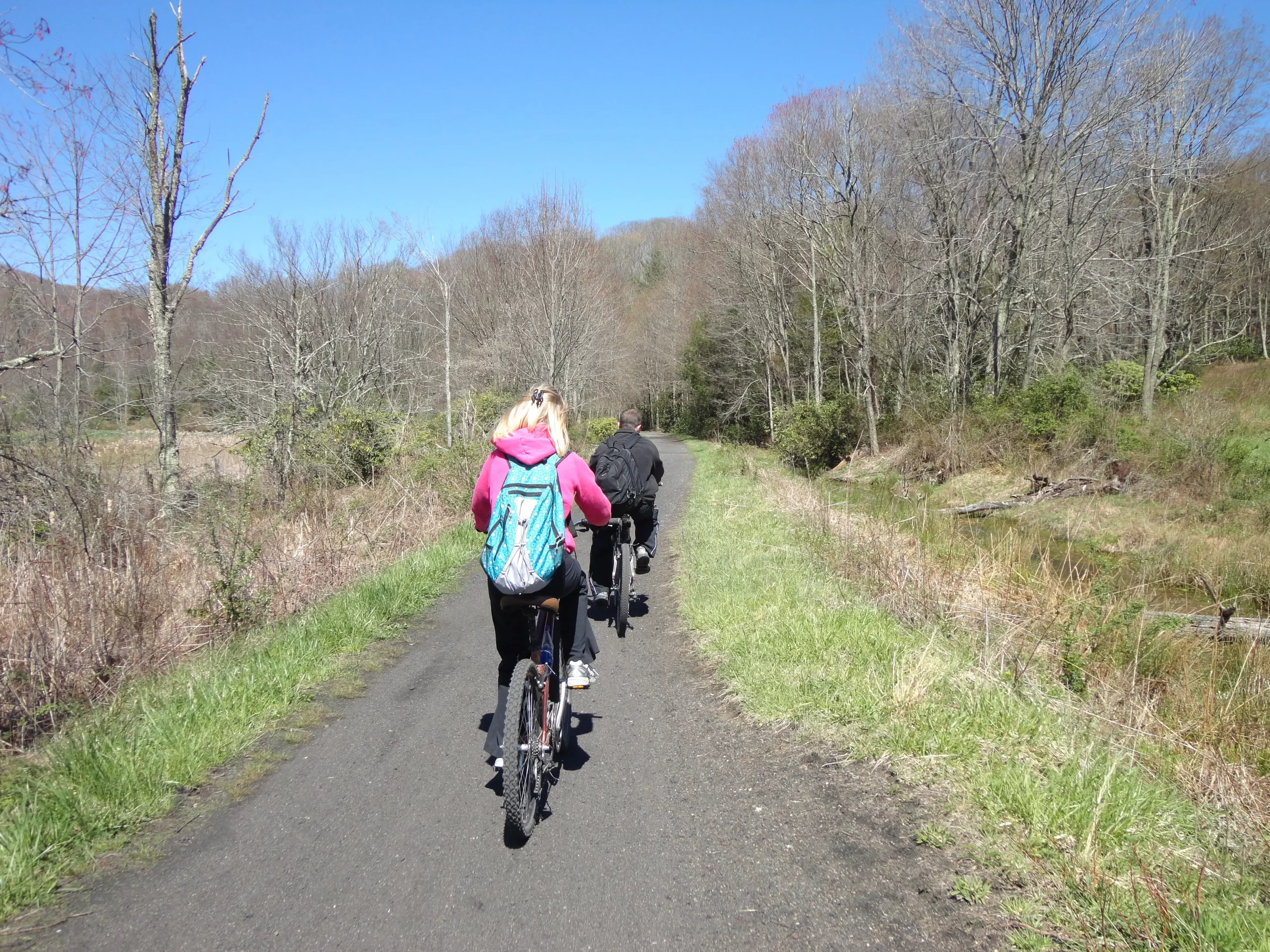 Read more about the article Biking the Virginia Creeper Trail: Planning A New Adventure [2024]