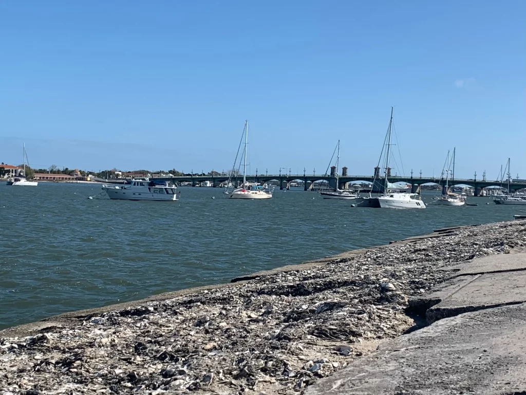Picture of sailboats in the water off of St. Augustine 
